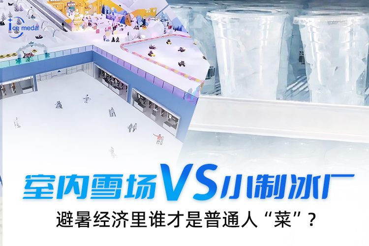 室內(nèi)雪場(chǎng)VS小制冰廠(chǎng)，避暑經(jīng)濟(jì)里誰(shuí)才是普通人“菜”？